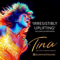 Tina The Musical Tina The Musical